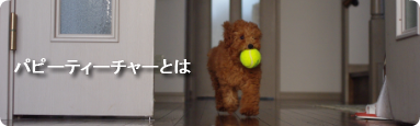 リックリプス